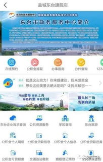 東臺(tái)官方旗艦店盛大啟航，鹽城首家創(chuàng)新平臺(tái)引領(lǐng)區(qū)域發(fā)展